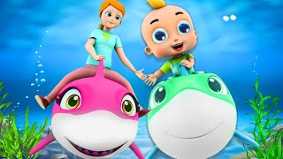 Old Macdonald & Baby Shark Dance - 3D Cartoon Nursery Rhymes For Kids