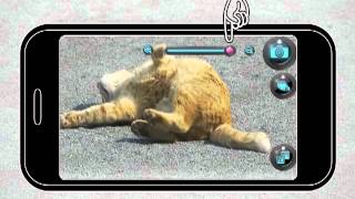 Silent Camera - 無音カメラ - screenshot 4