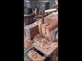 some carpentry techniques