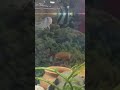 Hungry Parrot, African Cichlid & Oscar Fish Feeding Time #fish #aquarium #oscarfish