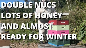 Double nucs lots of honey and almost ready for winter!
