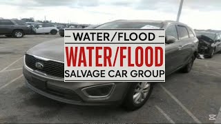 5XYPG4A59HG207147 Water Flood