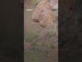 لحظة سقوط "سبايدرمان اليمن"