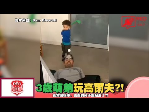 3歲萌弟玩高爾夫?!【RED News Daily 每日紅聞】2018/12/11