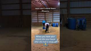 Bad horse #bad #horse #annoying #barnlife #friends by Jade Skywalker 12 views 1 year ago 2 minutes, 21 seconds