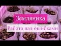 Рассада земляники. Работа над ошибками.