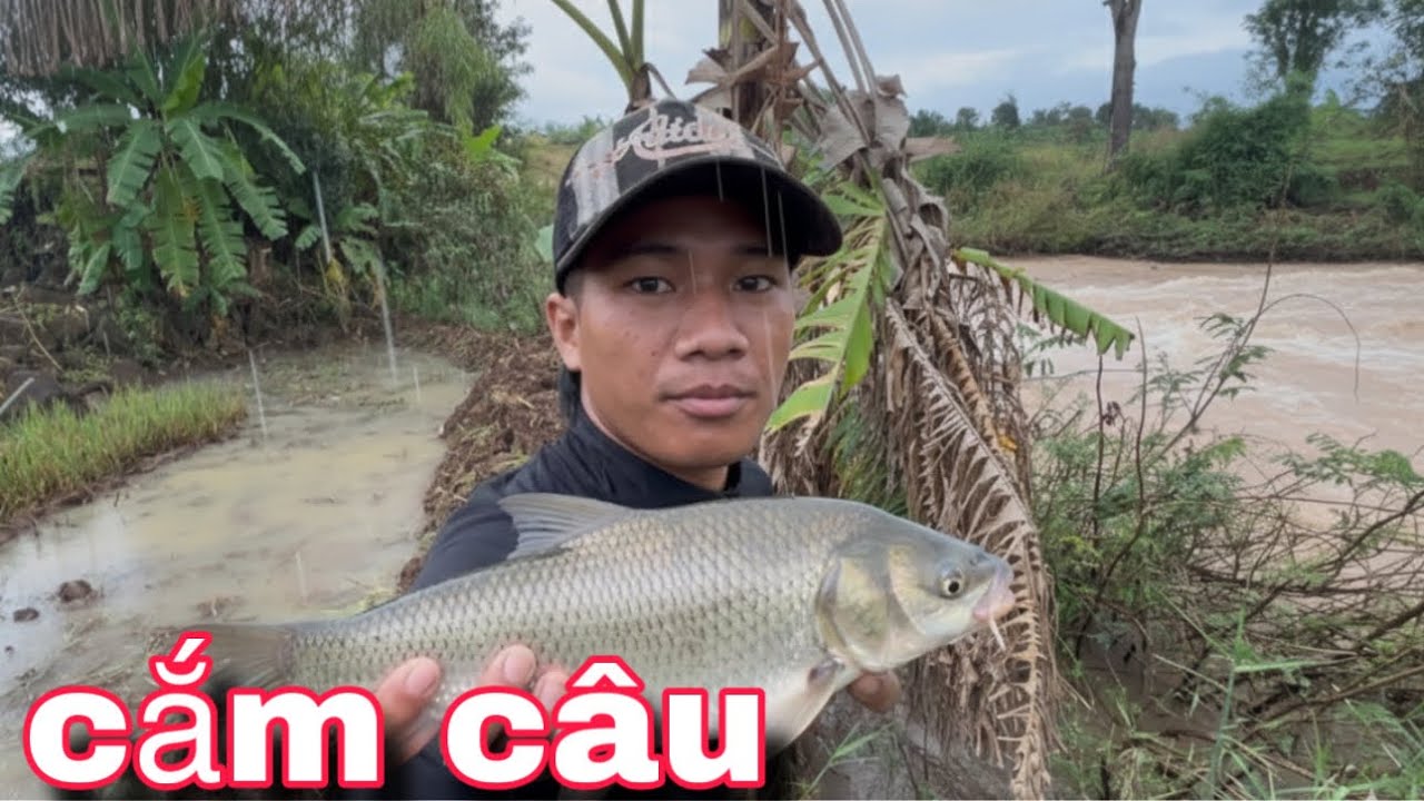 Y ĐIÊU CÙNG TEAM ĐI CẮM CÂU QUA ĐÊM | 
