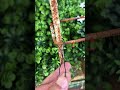Esse cara colocou um prego na furadeira e criou a ferramenta perfeita 🔩😳#Construção