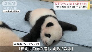 「未来へ明るさを」　双子パンダの名前に込めた思い(2021年10月9日)