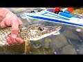 TOY RC FiSHiNG JET BOAT Catches 25" PiKE the FiRST TiME! 🎣