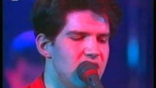 Video thumbnail of "Lloyd Cole, 'Forest Fire' live, 1985"