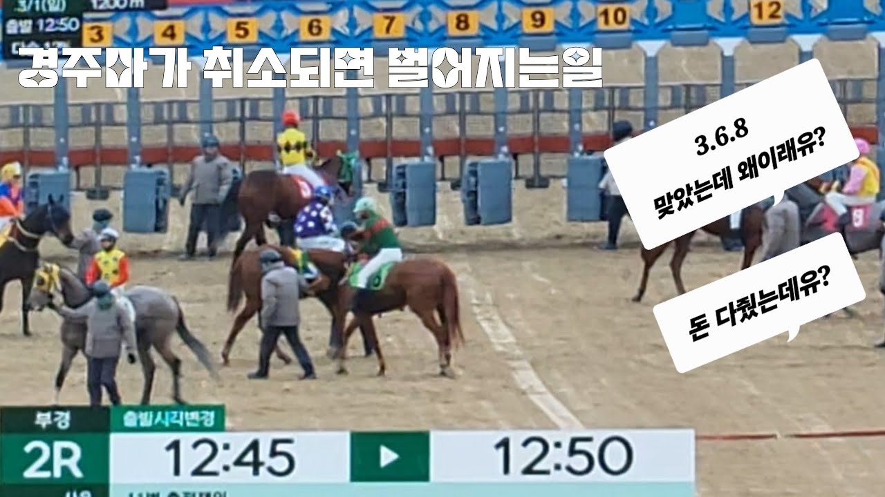 경마팬 돈이적게 나왔다고 난리났네~