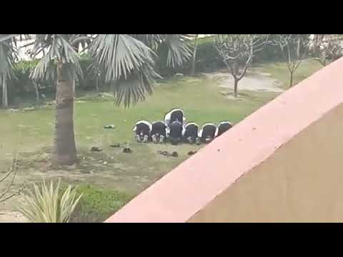 मथुरा के संस्कृति विश्वविद्यालय में नमाज अदा करते मुस्लिम छात्र।