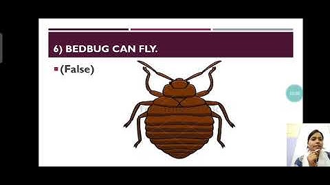 Science video (Plants around us, The animal world)