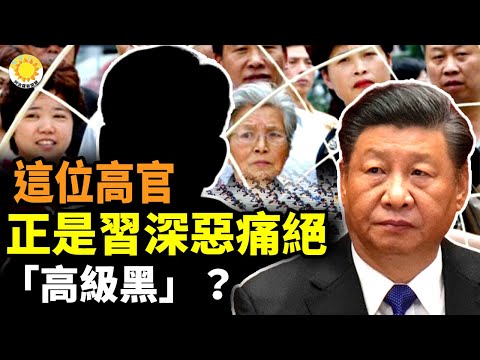 ?这位高官，正是习近平深恶痛绝的“高级黑”？浙女检察官被上司灌酒不省人事其丈夫举报引关注；31中企又列“实体清单”!美对中国贸易已超600家遭管制；中美芯片战越演越烈【阿波罗网JA】