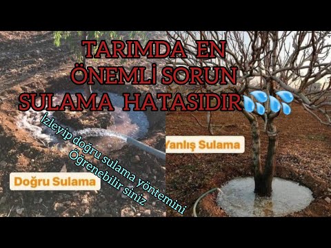 Ağaçlarda Doğru Sulama Sistemi💦 Yanlış Sulama yaparsan ağaç kurur💦Verimli KALİTELİ Sulama Yöntemleri