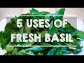 5 Uses of FRESH BASIL