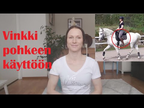 Video: Kuinka selviytyä hurrikaanista (kuvilla)