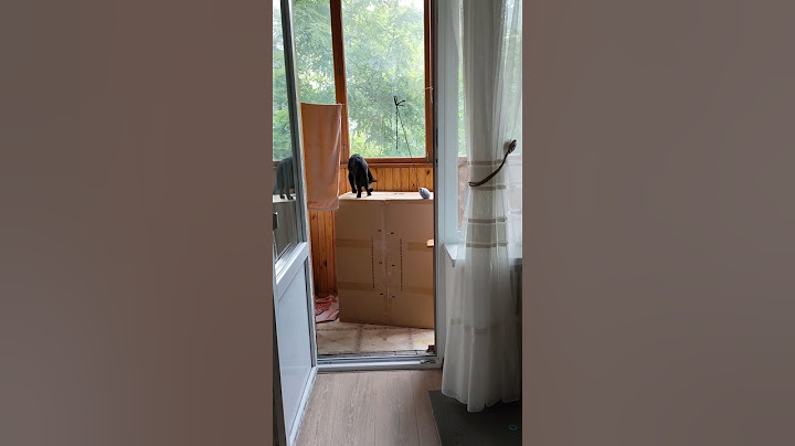 Удрала от кошечки муха #оле7 #ластёна #cat #видосыоткота #кот #веселыекоты