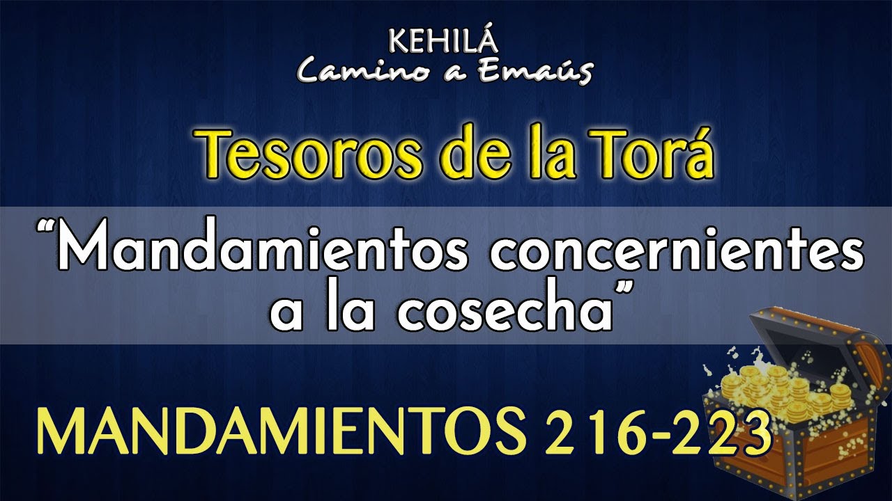 Mandamientos 216-223 'Mandamientos concernientes a la cosecha' estudios biblicos sobre la oracion
