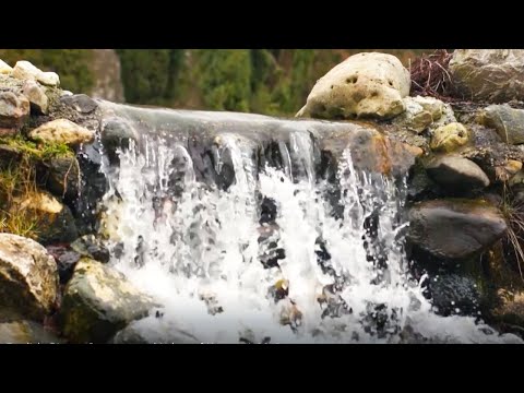 Vídeo: Onde fica o lago kanopolis?