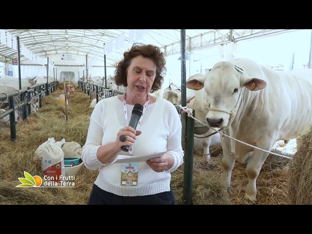 Puntata del 21-04-2024 - 1° parte AGRIUMBRIA 55esima edizione