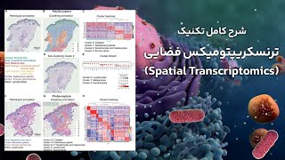 A Comprehensive Guide to Spatial Transcriptomics