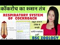 Cockroach (L-4),Respiratory system of Cockroach,bsc 1st year zoology knowledge adda lion batch