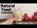 【自家製酵母】ホシノ天然酵母の意外な作り方　natural yeast、sourdough