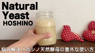 【自家製酵母】ホシノ天然酵母の意外な作り方　natural yeast、sourdough