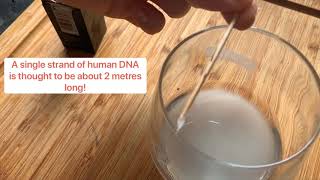 DNA Extraction at Home