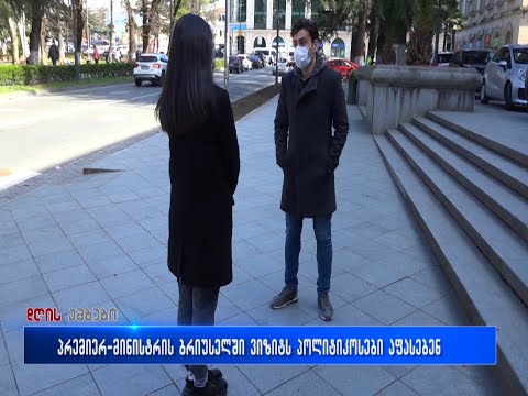 ვიზიტს ბრიუსელში  ოპოზიციური პარტიები და ქუთაისის საკრებულოს წევრი  აფასებს