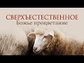 8. Сверхъестественное Божье процветание – «Псалом 22. Господь – Пастырь мой». Рик Реннер