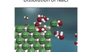 # 7 Dissolving Process