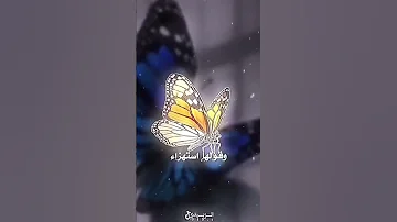 مرت على الخفاشي مليكة الفراشي 