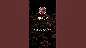 سورة الماعون القارئ علاء عقل تلاوة خاشعة