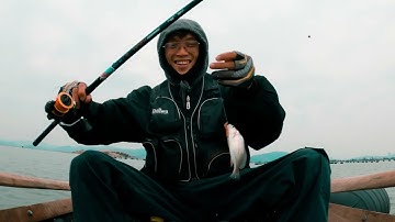 Một buổi câu ISO cá Tráp(Hanh) tại Tuần Châu, Hạ Long | Vlog#24