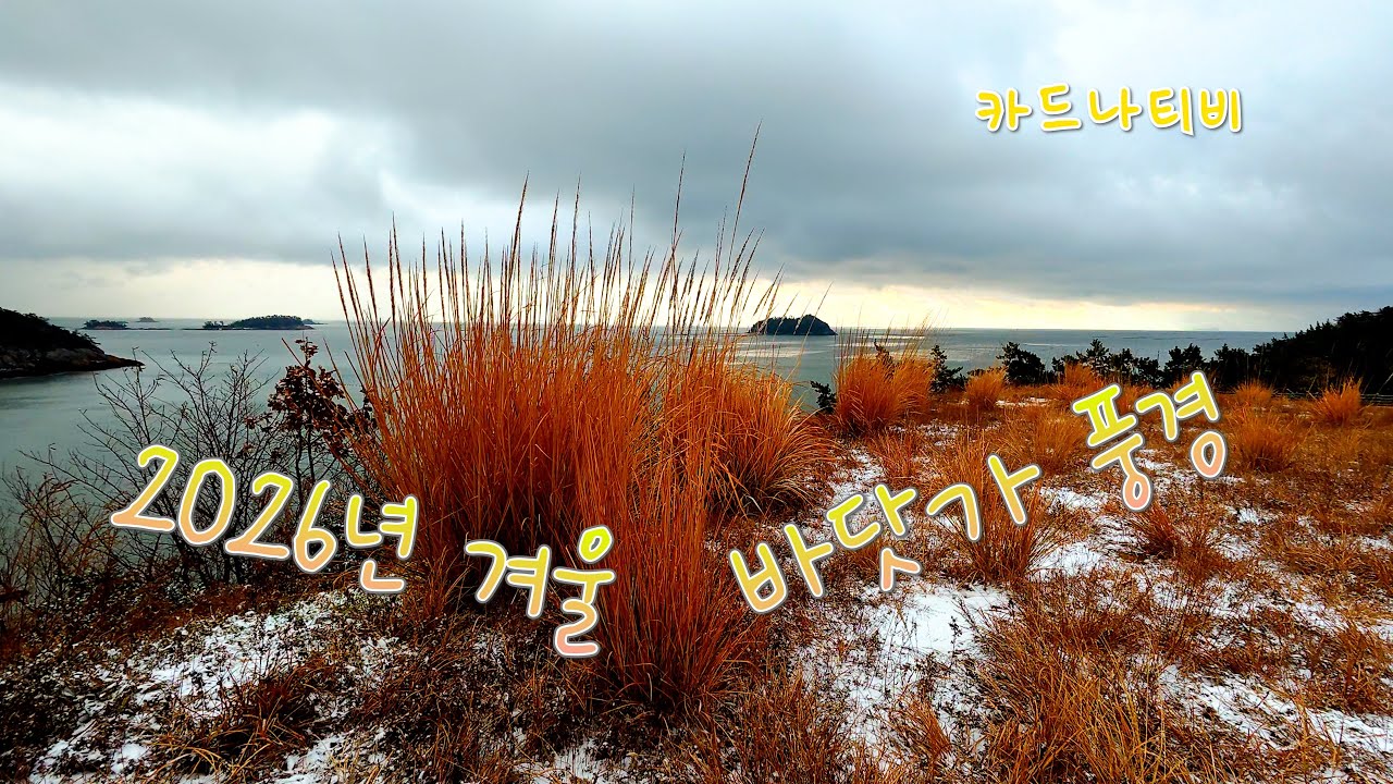 2026년 겨울 바닷가 풍경     #진도     #겨울     #바닷가