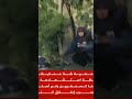 لحظة مقتل شيرين أبو عاقلة