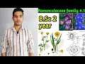 Ranunculaceae family  floral formula daigram and Economic importance B.Sc 2 year