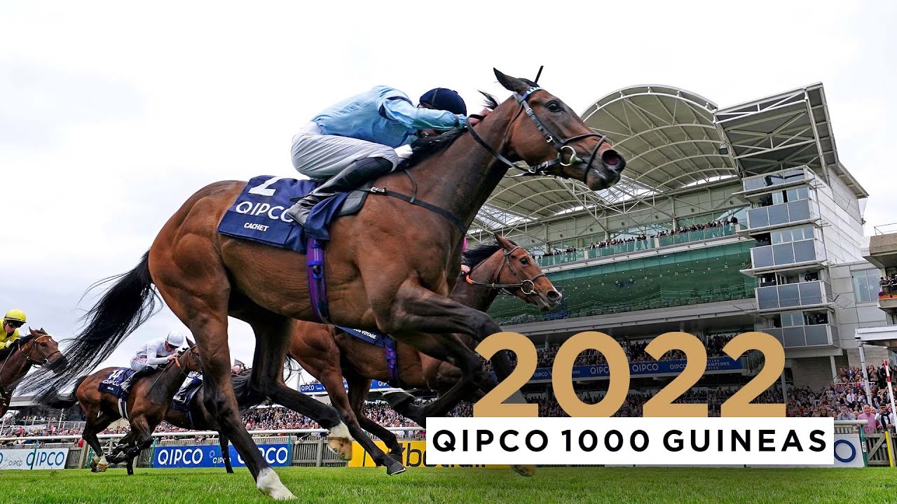 betting odds 1000 guineas newmarket