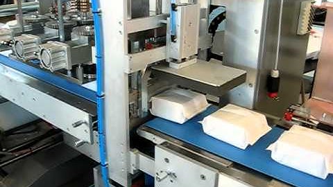 CRISP BREAD PACKAGING ON DELFIN TUCANO 600 FLOW WRAPPER