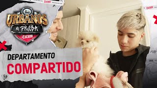 CON SU PERRITO🤩 Conocimos la casa de Jairo Vera en San Miguel - Urbanos a Prueba