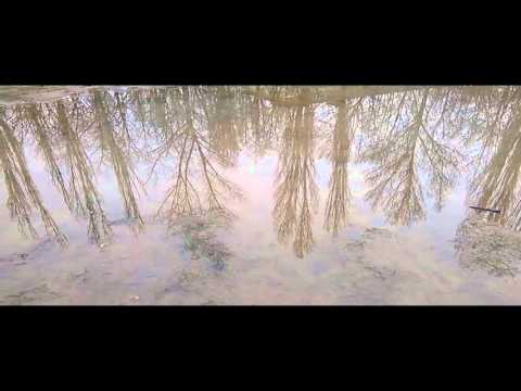 Перевернутый мир, отражается в лужах, inverted world, is reflected in the puddles