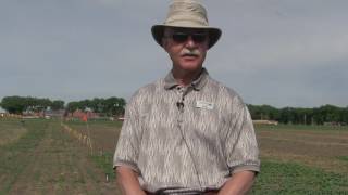 Wheat School: Is that second spray necessary?