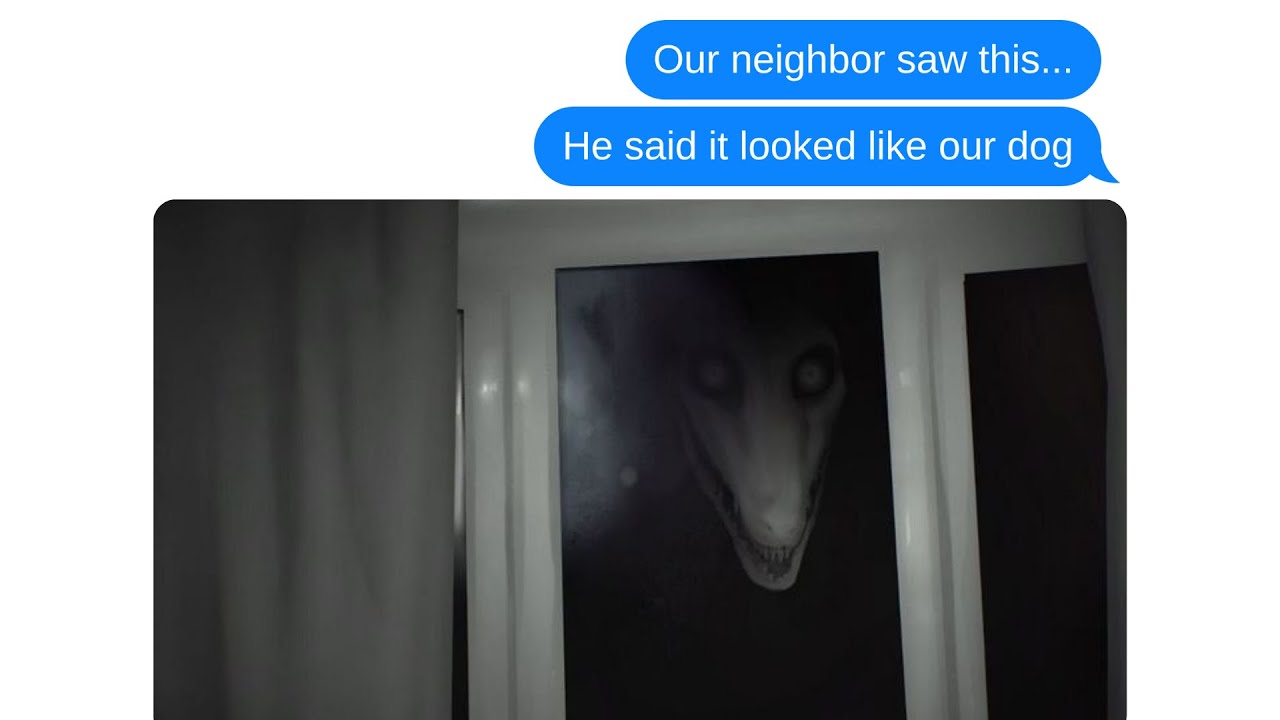 She Claimed She Saw a Creature Outside… But CCTV Showed the Truth