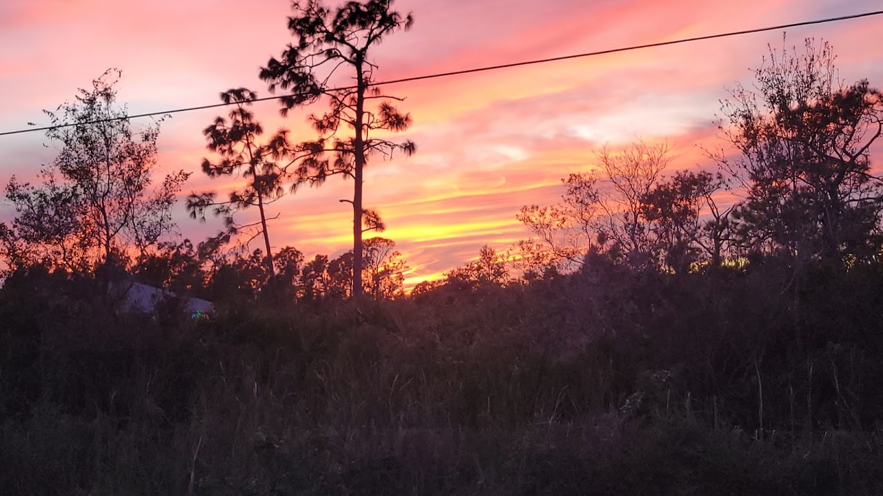 Learning to play csgo