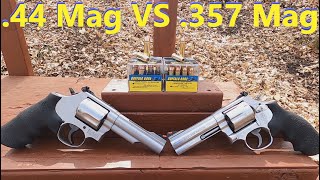 .357 Mag Vs .44 Mag - Buffalo Bore Lower Recoil - Gel Test