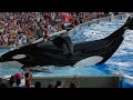 5 Things SEAWORLD Is Hiding From You!