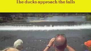 Rubber Duck Race 2008